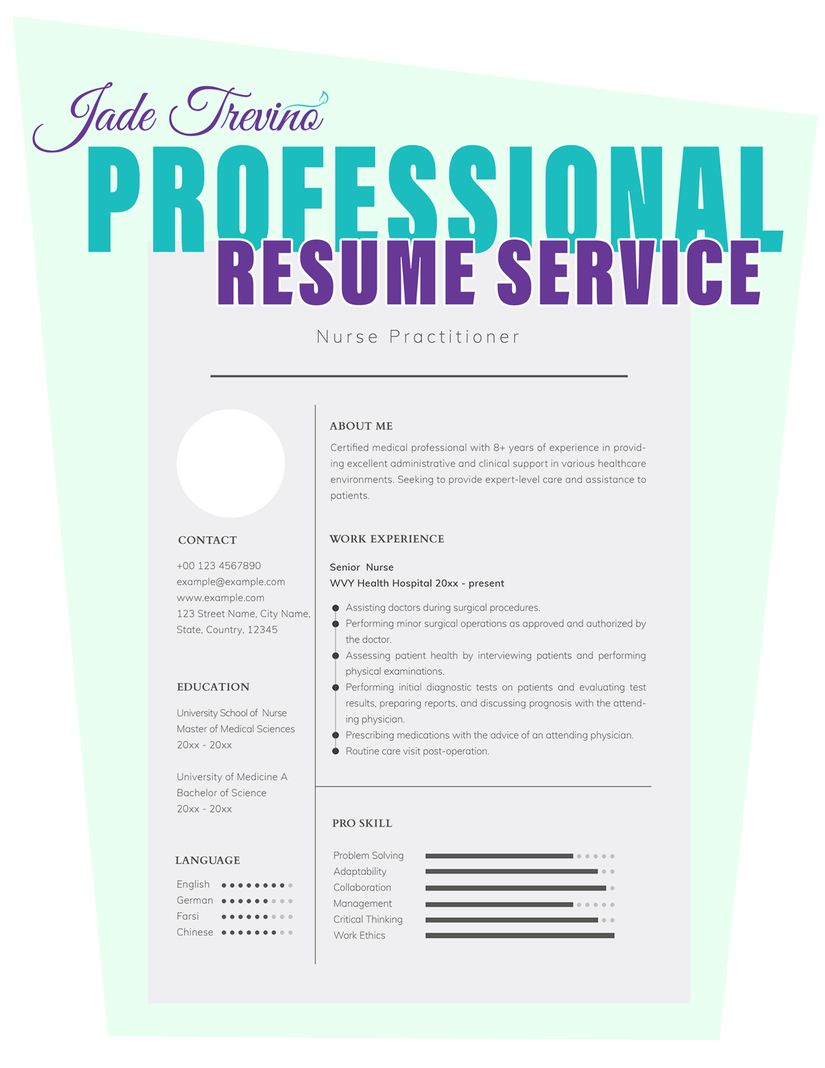 resume-sample-1